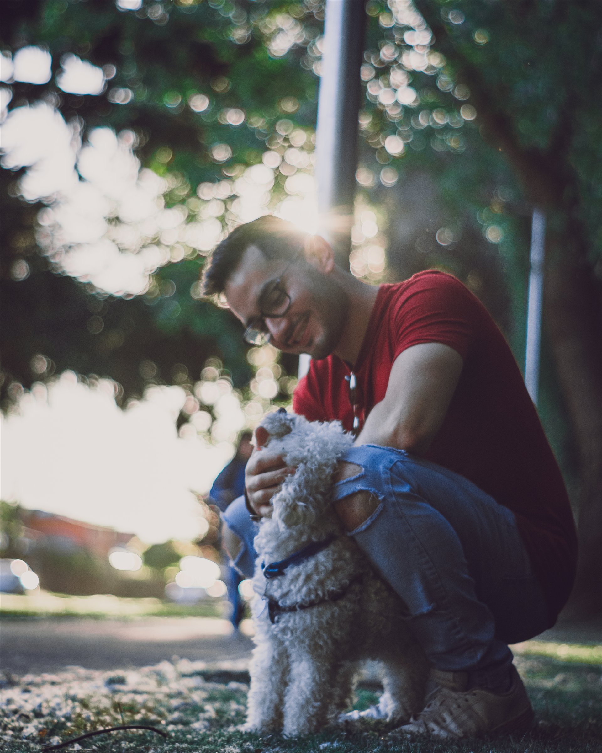 Persona sentada junto a su perro bajo la luz de los árboles